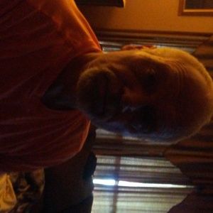 Meet your Posher, Kevin